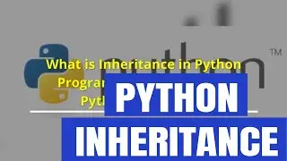 What is Inheritance in Python Programming Language? – Python Inheritance