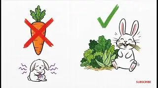 Hopping Fun! Fuzzy Rabbit Facts That Will Make You Say Aww! 🐰