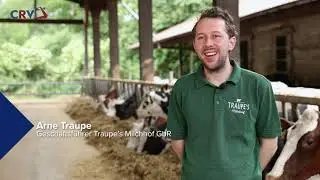 Traupe's Milchhof GbR - CRV (Langversion)