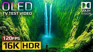 Natural Beauty in the World | 16K HDR Jungle Wonders | Earth&rsquo;s Most Beautiful Places