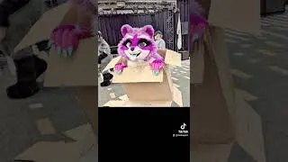 do they care if you break the magic? #furryfandom #fursuit #fursuiter #furryconvention