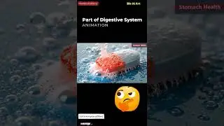 Antacid Tablet Dissolving Animation | Human Anatomy | Digestive System | Bio AI Art