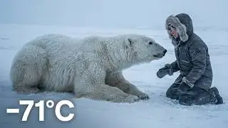 I Found a Pregnant Polar Bear Crying for Help in −71°C Arctic Rescue