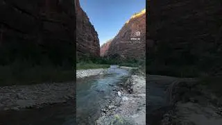 Views at Zion National Park, Utah #nationalpark #travel #nature #usa #wildlife #river #canyon