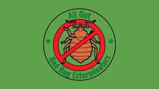 Bed Bug Exterminators NYC | All Out Bed Bug Exterminators