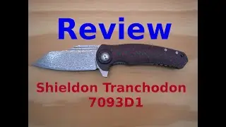 Review Shieldon Tranchodon 7093D1