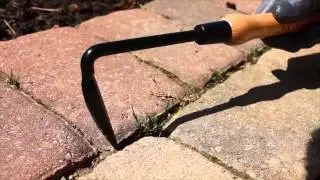 Leonard Cape Cod Weeder
