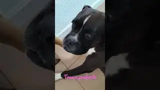 Trance profundo,semi asistido