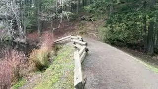 Thetis Lake Walk