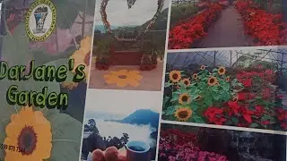 DARJANE'S GARDEN//SHILAN,LA TRINIDAD, BENGUET 2021