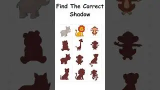 Find The Correct Shadow #shorts #quiz #find #spot #trivia #findtheshadow