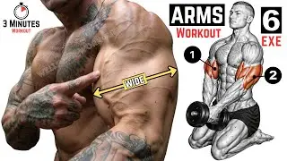 Build Big Arms: 6 Best Exercises for Biceps & Triceps