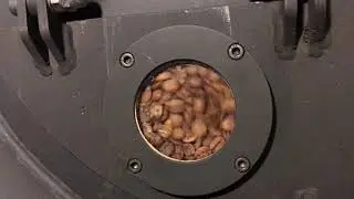 Roasting steps with the 5kg batch capacity artisan roaster.
