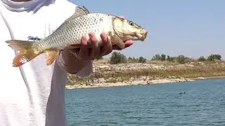 Fishing in a small lake, just one word, COOL!! 小水库钓鱼，钓到你手软。 就一个字 爽！！ (1/2)