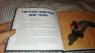 Reading Aloud: World's Weirdest Animals: Two-Headed Shingleback Skink Lizard (British Female)