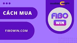 Nạp tiền Fibowin, Mua USDT Fibowin Mua Fibowin [ĐƠN GIẢN, AN TO&Agrave;N]