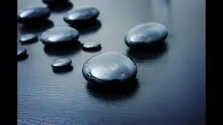 Bio-Electromagnetic  Formed Chi Training