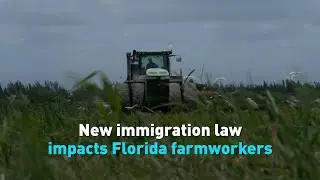 New immigration law impacts Florida farmworkers