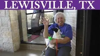 Volunteer with Lewisville Animal Services!