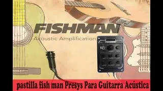 pastilla fish man Presys Para Guitarra Acústica