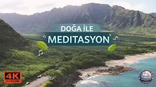 Rahatlatıcı Doğa & Meditasyon Müziği | Zihin ve Ruh İçin Huzur🌿