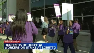 Hundreds of Chicago hospital employees go on strike