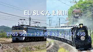 EL/SLぐんま横川 ー EF65 501 + 12系客車5B + D51 498(9135レ/9136レ) #EF65_501 #D51_498 #91351レ #9136レ #信越線 #鉄道動画