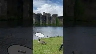 Wales, you&rsquo;re a treasure. 🏰🏴󠁧󠁢󠁷󠁬󠁳󠁿#HistoricWonders #CaerphillyCastle #MedievalMagic