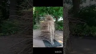 amazing nature creativity