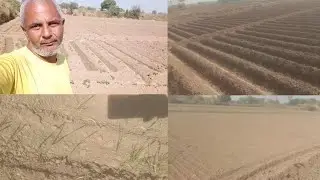 फँसलो मे फेर बदँल आखिर हमारे किसान कयो रहे कँर कयाँ पैदावार पँर ईस से पडेगा कोई बडा असँर
