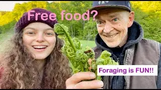Foraging wild food: Fiddleheads and Watercress *how to find edible plants*