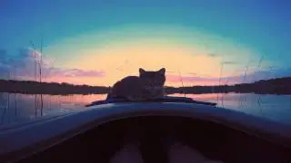 Boatcat Remix