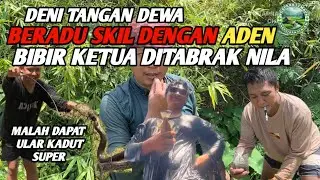 TANGKAP IKAN , DENI BERADU SKILL DENGAN ADEN !! vol: 007 #ikanmujair #ikan #sarangikannila #sawah 