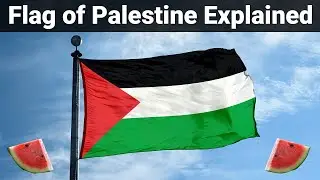 The Flag of Palestine Explained | Flag Facts