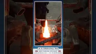 W.H.Tildesley Drop Forging Specialist - Eyenuts - J841
