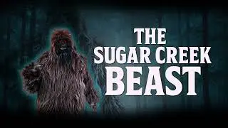 Sugar creek beast