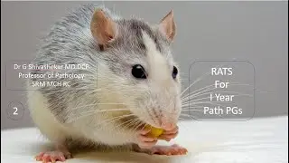 MD/ DNB Histology for Pathology - Cartilage. Dr GSS SRM MCH RC