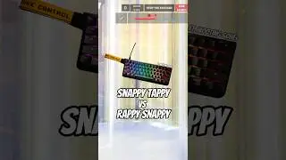 Snappy Tappy vs Rappy Snappy ft Wooting 60HE+ #wooting #gamingkeyboard