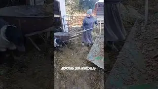 Work on the Homestead. #followers #healthylifestyle #wintertime #mud #animals