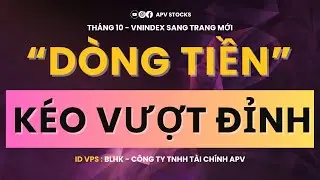 Chứng kho&aacute;n h&ocirc;m nay 09/10/2025 : Thị trường đi l&ecirc;n trong nghi ngờ - Top d&ograve;ng tiền vượt đỉnh ?