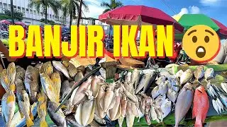 Banjir Ikan Segar! Pasar Tradisional dengan Pilihan ikan Terbanyak di Kota Ambon🔥