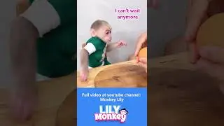 Monkey Lily enjoys a fruit party made by dad P1