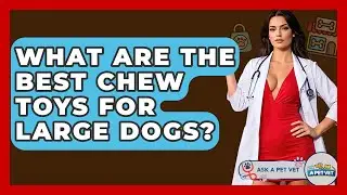 What Are The Best Chew Toys For Large Dogs? - Ask A Pet Vet