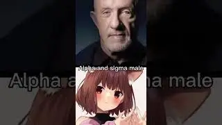 Kid named finger vs stupid anime cat lady #breakingbad #fyp #edit