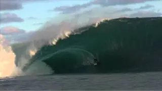 Alex Gray- Odd-size Baggage | Body Glove