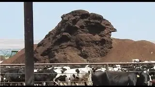 You Won't Believe What Happens When A Factory Farm Moves In Next Door