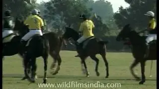 Polo match in Delhi
