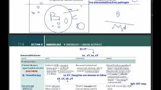 B-cell disorders(Immunodeficiencies)FA'23pg114