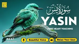 Relaxing Surah Yasin for Sleep, Depression, & Anxiety ✦ Yaseen سورة يس ✦ Lofi Quran