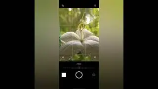 #mobile_photography...🌺🌺 . click on realme 6 expert mode ❤️...